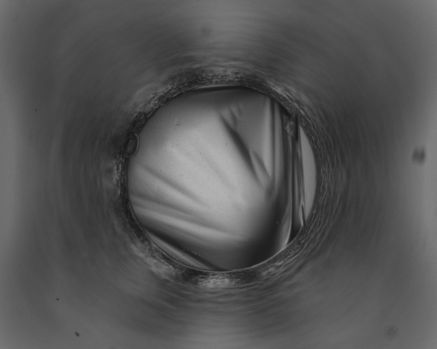 X0000091090759200708271256