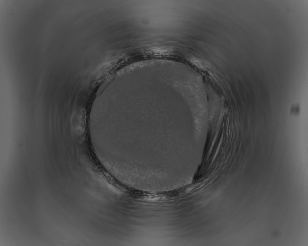 X0000091090760200708271256