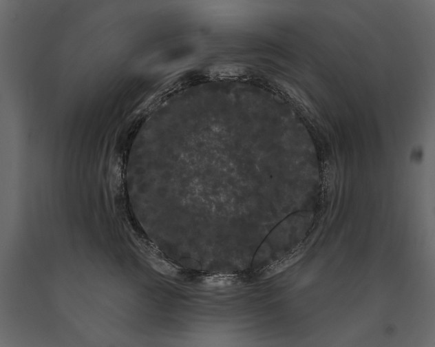 X0000091090761200708271256