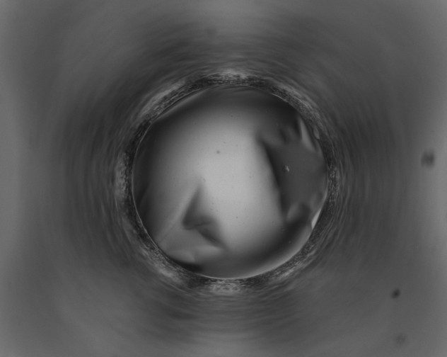 X0000091090762200708271256