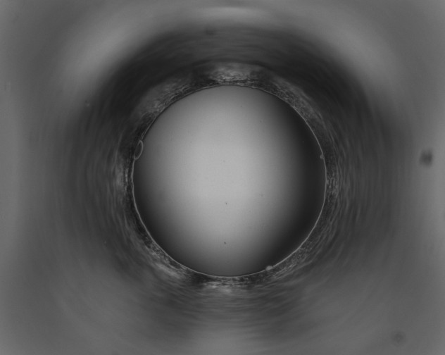 X0000091090763200708271256