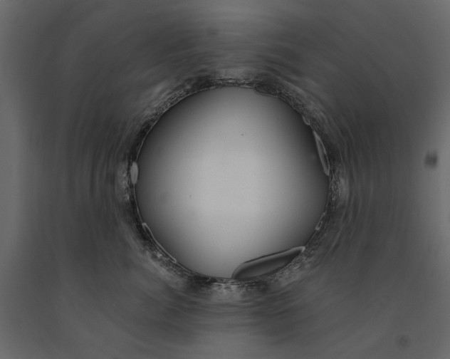 X0000091090764200708271256