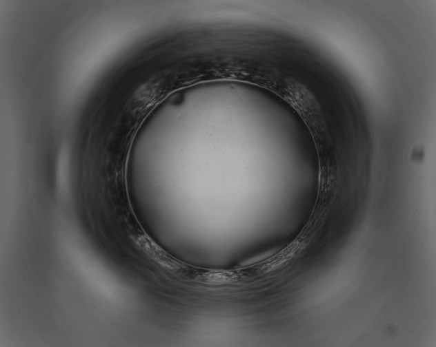 X0000091090765200708271256