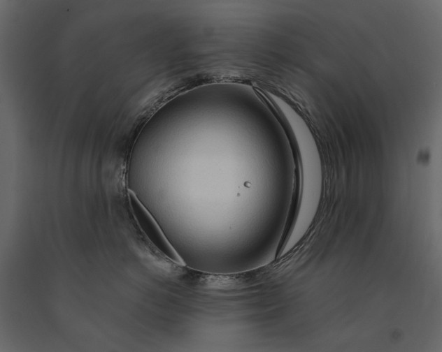 X0000091090766200708271256