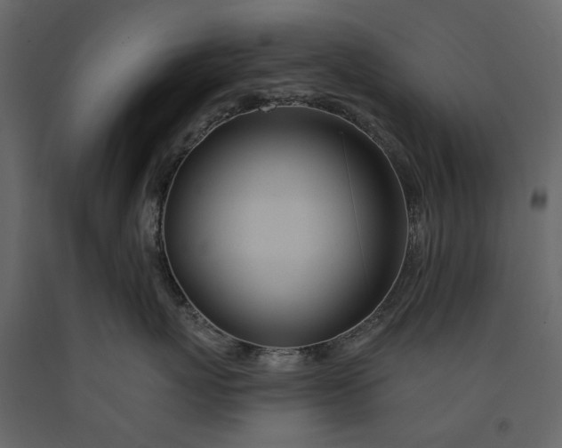 X0000091090767200708271256