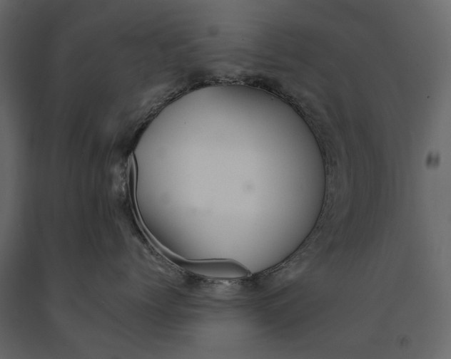 X0000091090768200708271256