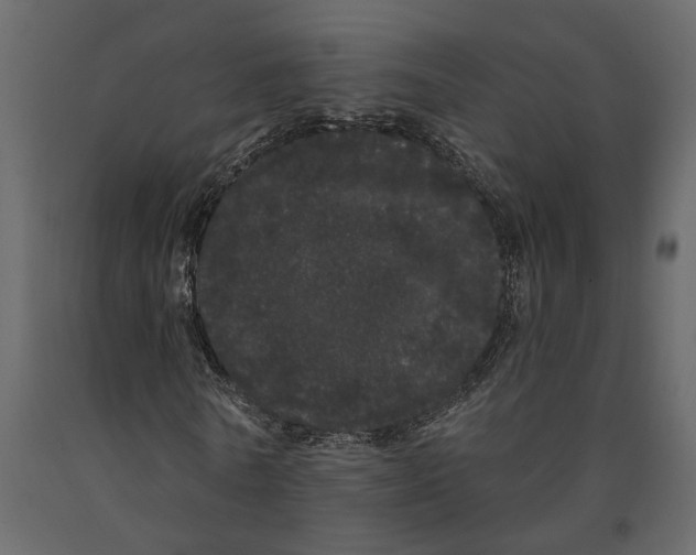 X0000091090770200708271255