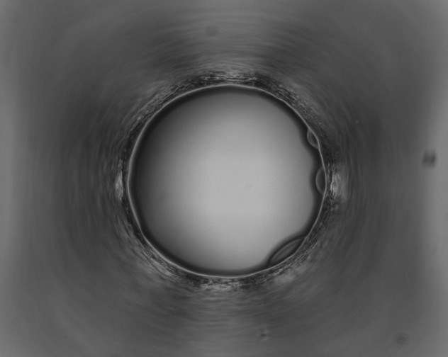 X0000091090771200708271255