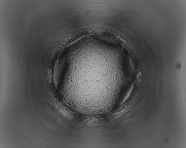 X0000091090772200708271255