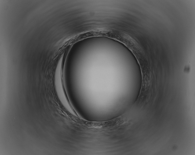 X0000091090773200708271255