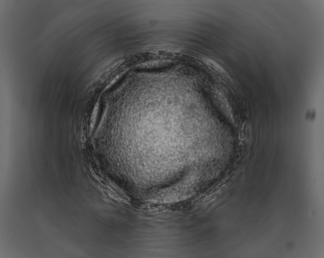 X0000091090774200708271255