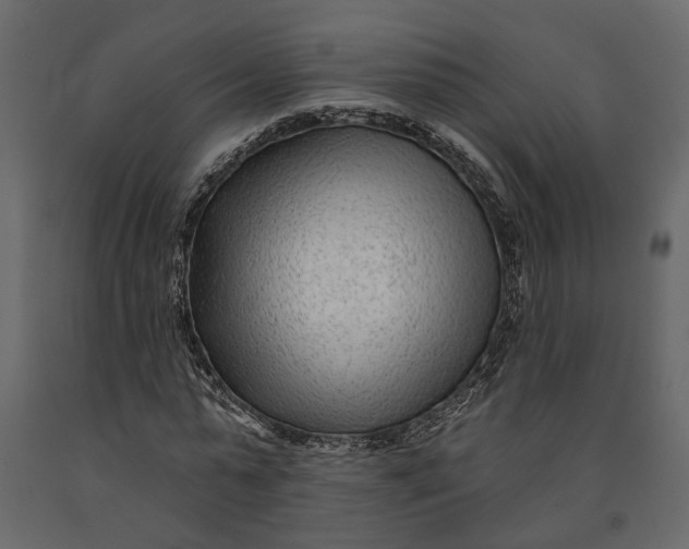 X0000091090775200708271255