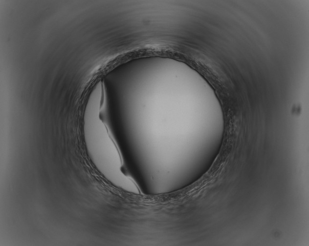 X0000091090776200708271255