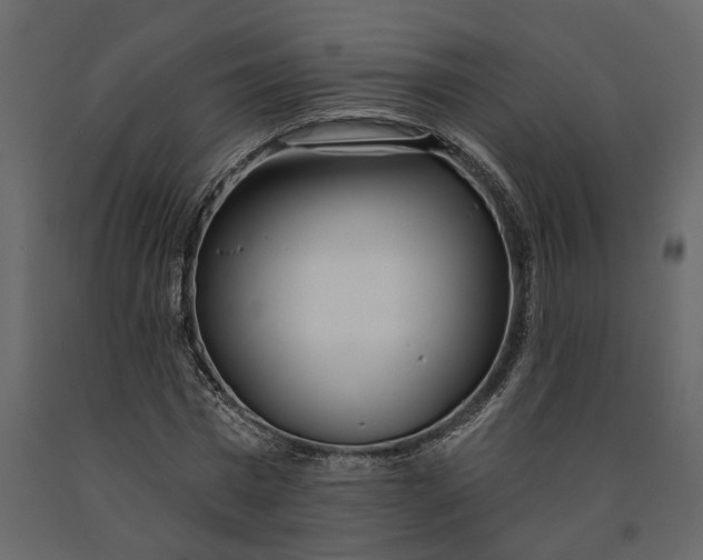 X0000091090777200708271255