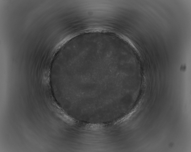 X0000091090778200708271255