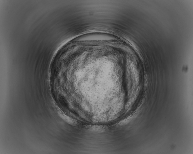 X0000091090779200708271255