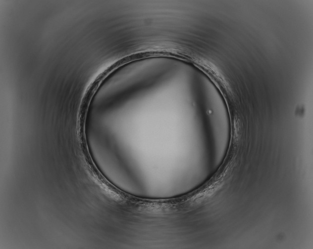 X0000091090780200708271255