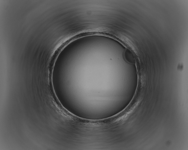 X0000091090781200708271255