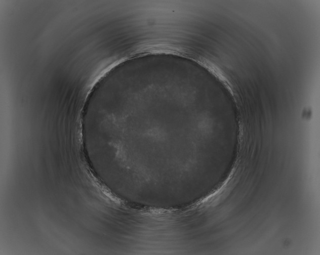 X0000091090782200708271255