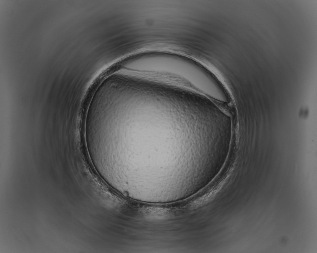 X0000091090783200708271255