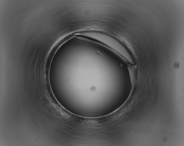 X0000091090784200708271255