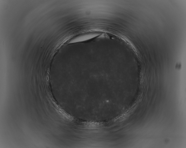 X0000091090785200708271255