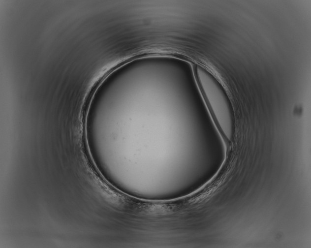 X0000091090787200708271255