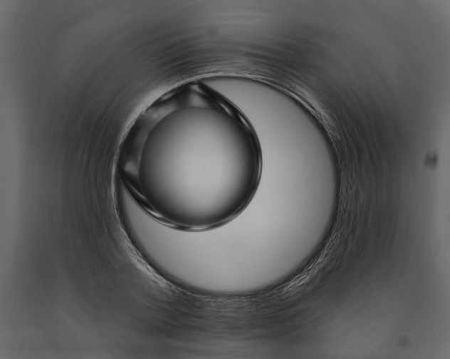 X0000091090788200708271255