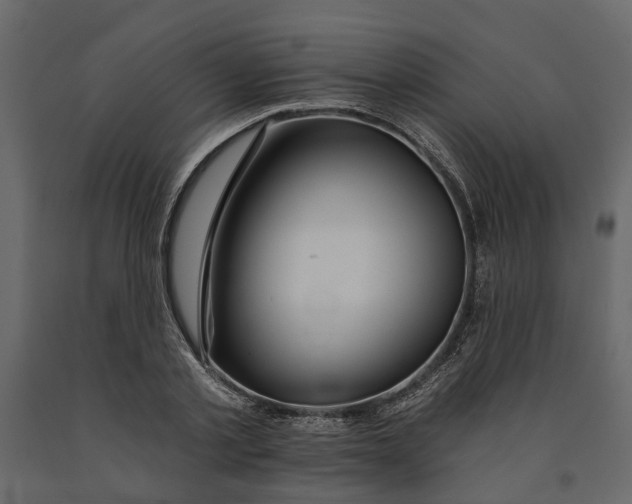 X0000091090789200708271255