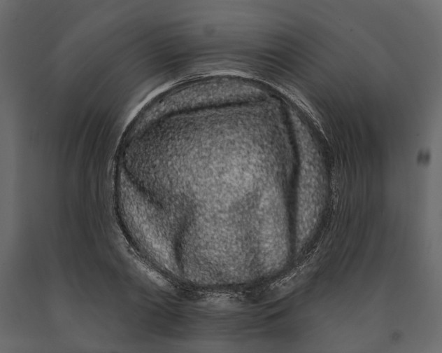 X0000091090790200708271255