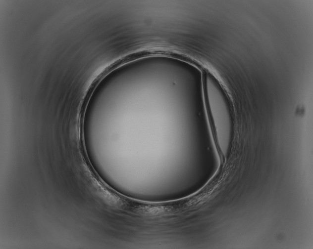 X0000091090791200708271255