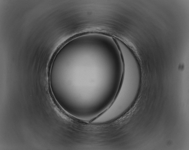 X0000091090792200708271255