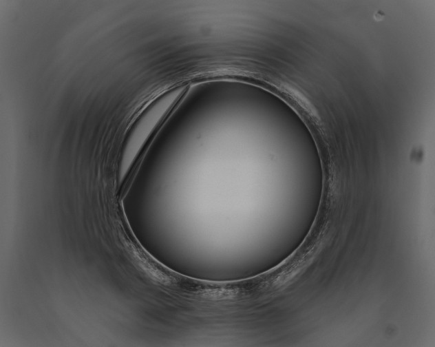 X0000091090793200708271255