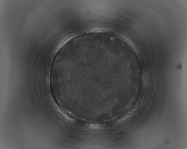 X0000091090794200708271255