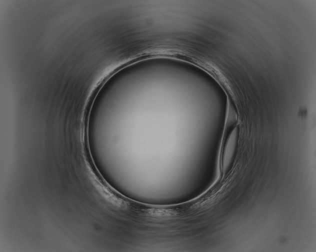 X0000091090795200708271255