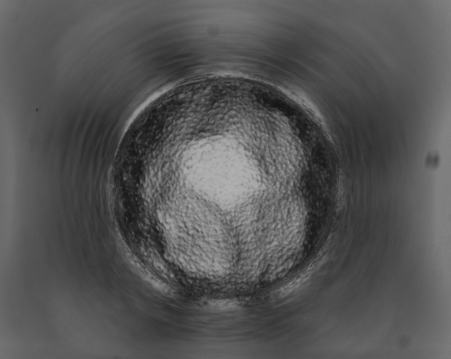 X0000091090798200708271255