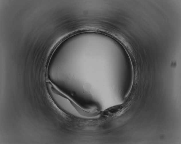 X0000091090799200708271255