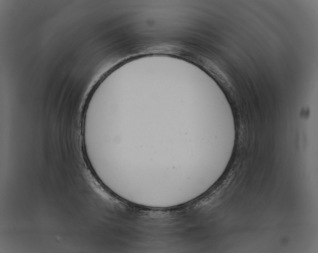 X0000091090800200708271255