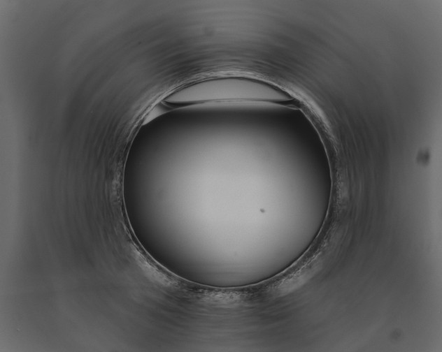 X0000091090801200708271255