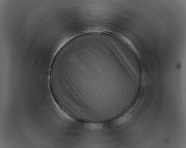 X0000091090802200708271255