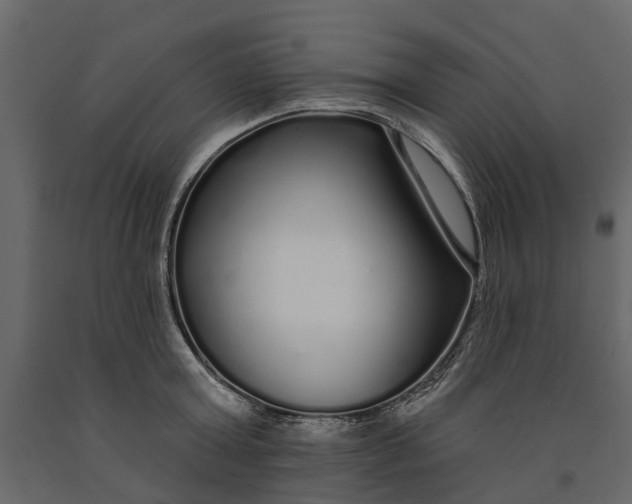 X0000091090803200708271255