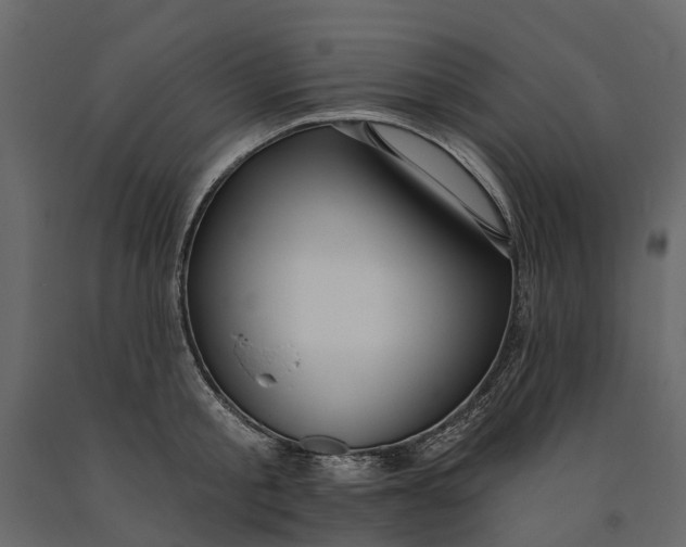 X0000091090805200708271255