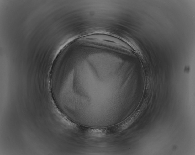 X0000091090806200708271255