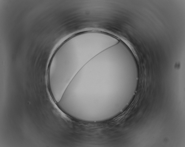 X0000091090807200708271255