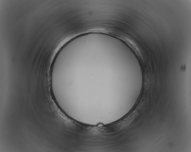 X0000091090808200708271255