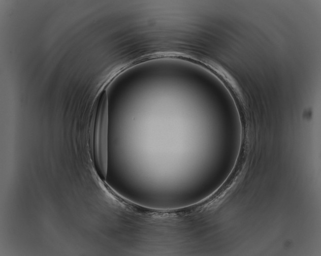 X0000091090809200708271255