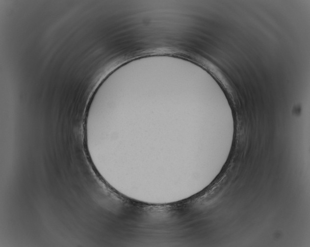 X0000091090810200708271255