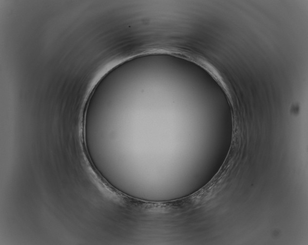 X0000091090811200708271255