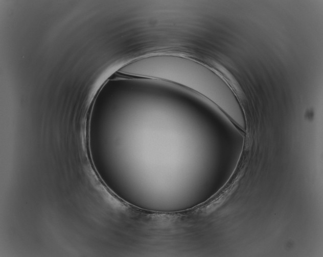 X0000091090812200708271255