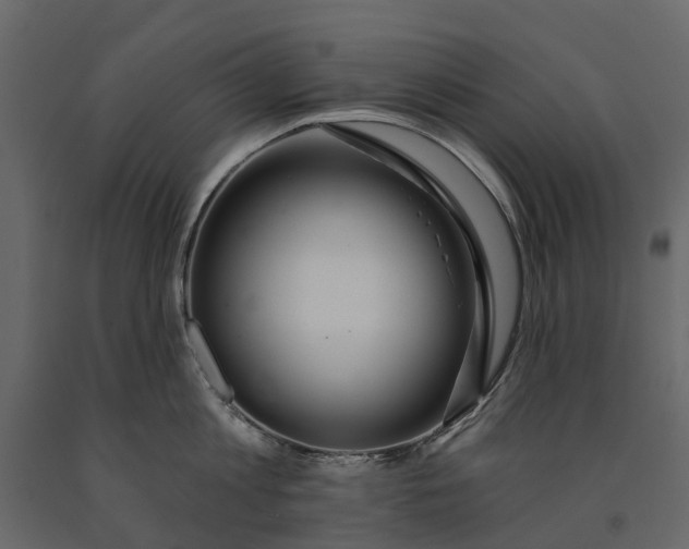 X0000091090813200708271255